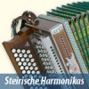kat_harmonika